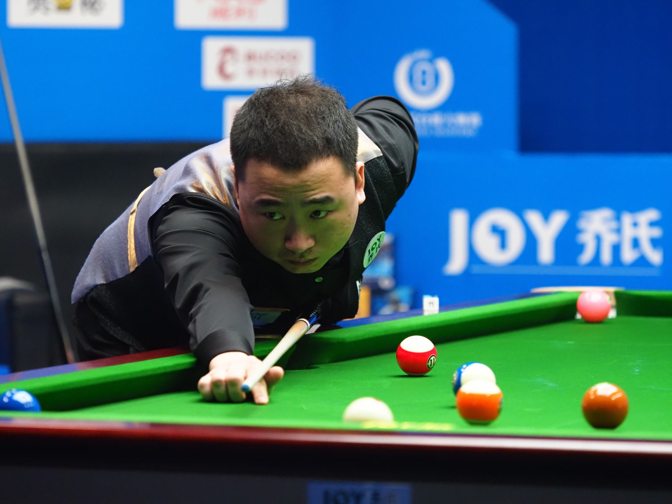 的归化手续 的归化手续