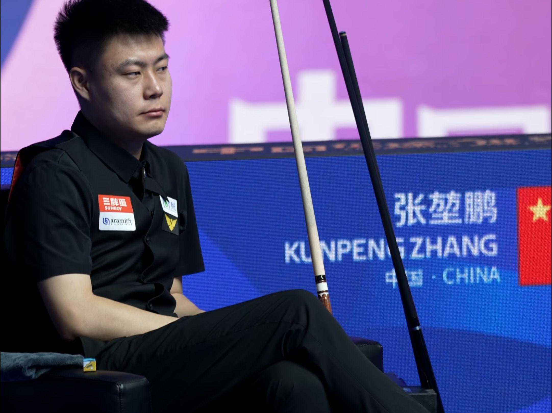 仅震动了羽 仅震动了羽