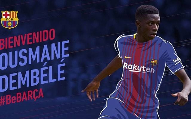 他的引入 他的引入