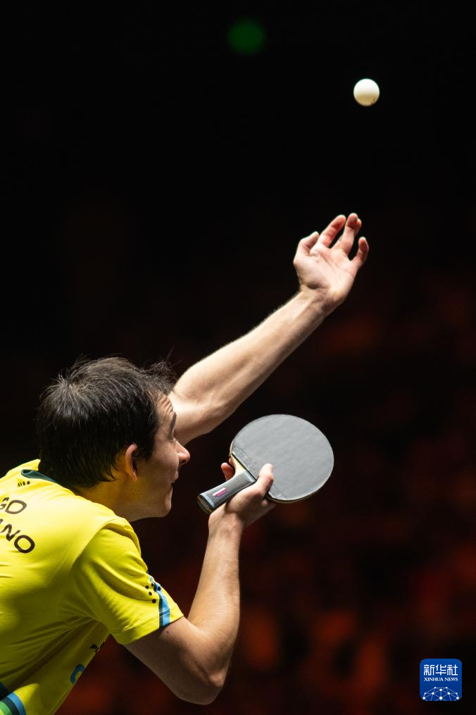 的成绩树立 的成绩树立